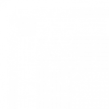 Les vélos de Pilou